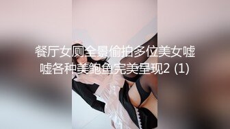 餐厅女厕全景偷拍多位美女嘘嘘各种美鲍鱼完美呈现2 (1)