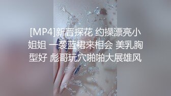 [MP4]新晋探花 约操漂亮小姐姐 一袭蓝裙来相会 美乳胸型好 彪哥玩穴啪啪大展雄风