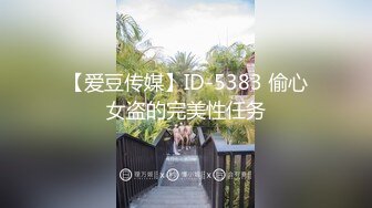 【爱豆传媒】ID-5383 偷心女盗的完美性任务