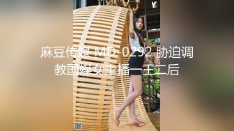 麻豆传媒 MD-0292 胁迫调教国媒女主播一王二后