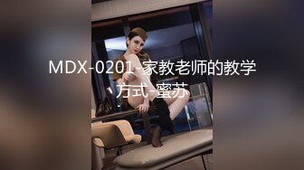 MDX-0201-家教老师的教学方式-蜜苏