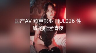 国产AV 葫芦影业 HUL026 性奴圣诞迷情夜