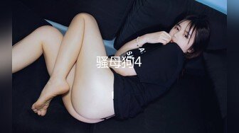 骚母狗4