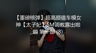 【重磅核弹】超高颜值车模女神【太子妃】SM调教露出啪啪 第一部 (8)