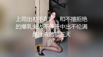 上司出差不在时，和不擅拒绝的爆乳夫人不停干中出不伦满是汁液的那三天