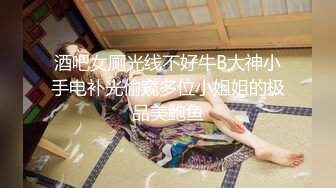 酒吧女厕光线不好牛B大神小手电补光偷窥多位小姐姐的极品美鲍鱼