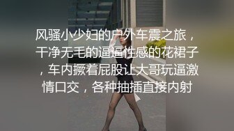 风骚小少妇的户外车震之旅，干净无毛的逼逼性感的花裙子，车内撅着屁股让大哥玩逼激情口交，各种抽插直接内射