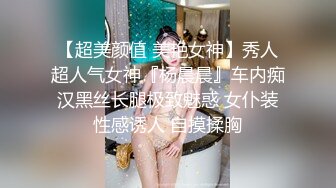 【超美颜值 美艳女神】秀人超人气女神『杨晨晨』车内痴汉黑丝长腿极致魅惑 女仆装性感诱人 自摸揉胸