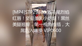 [MP4]STP29883 双马尾烈焰红唇！坚挺美乳小姐姐！黑丝美腿翘臀，第一视角抽插，大屌后入爆操 VIP0600