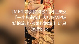 [MP4]最新推特极品网红美女『一小只萌宠』大尺度VIP版私拍流出-极限粉嫩露出 玩具速插粉穴