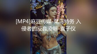 [MP4]麻豆传媒-菜鸟特务 入侵者的反姦凌辱-袁子仪