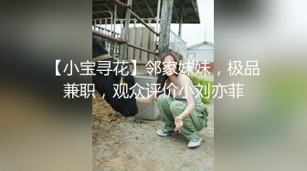 【小宝寻花】邻家妹妹，极品兼职，观众评价小刘亦菲