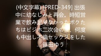 (中文字幕) [PRED-349] 出張中に幼なじみと再会。時短営業で飲み足りなかったボクたちはビジホ二次会の後、何度も中出し不倫セックスをした… 篠田ゆう