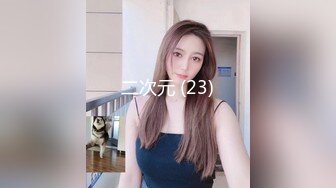 二次元 (23)