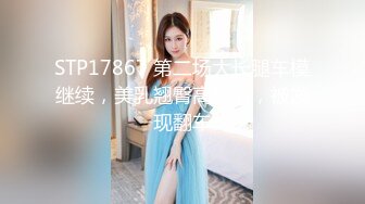 STP17867 第二场大长腿车模继续，美乳翘臀高颜值，被发现翻车