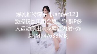 爆乳推特博主【Janpet12】激操粉丝见面会第二弹 群P多人运动露出前吃屌后内射~炸裂[MP4/633MB]