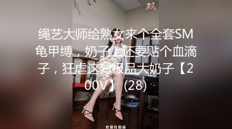 绳艺大师给熟女来个全套SM龟甲缚，奶子上还要贴个血滴子，狂虐这对极品大奶子【200V】 (28)