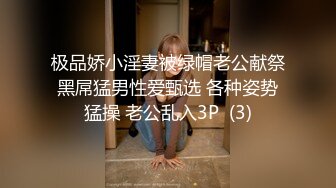 极品娇小淫妻被绿帽老公献祭黑屌猛男性爱甄选 各种姿势猛操 老公乱入3P  (3)